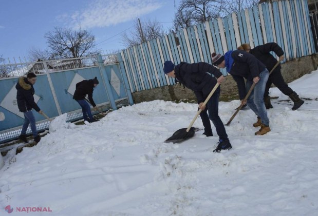 EXEMPLU // Tinerii din Ruseștii Noi au DESZĂPEZIT 20 de gospodării ale bătrânilor din localitate