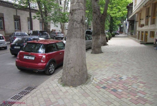 INTERZIS // NU văruiți copacii din Chișinău!