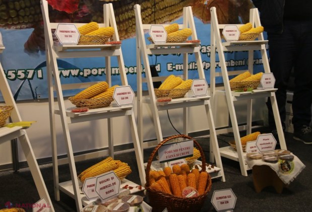 Peste 200 de companii din Republica Moldova, Austria, Italia, România și Ucraina, la „Moldexpo”, până pe 16 octombrie: Fructe, legume, produse apicole, puieți, flori semințe sau tractoare