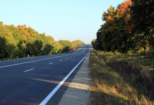 NUCII de pe marginea drumurilor publice ar putea fi DEFRIȘAȚI