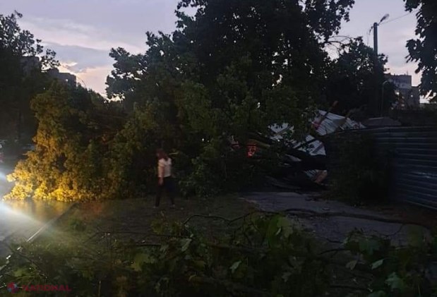 GALERIE FOTO // PLOAIE în Chișinău: Copaci scoşi din rădăcini și căzuți inclusiv pe mașini, străzi spălate de ape, acoperișuri luate de vânt sau cabluri doborâte la pământ