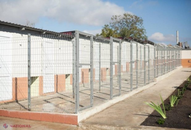 Centrul de Plasament pentru animalele fără stăpân din Orhei va fi EXTINS. Ilan Șor vrea să elibereze orașul de câinii maidanezi