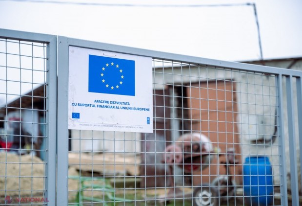 FOTO // A lăsat Italia pentru a dezvolta o AFACERE care să aducă prosperitate pentru localitatea Vadul-Rașcov. „Aș vrea să fac mezeluri ca în Italia, dar în R. Moldova”