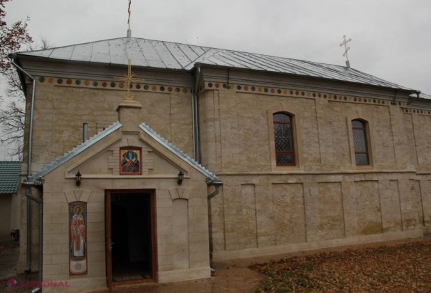 Copacul cu vârsta de peste 700 de ani din R. Moldova!