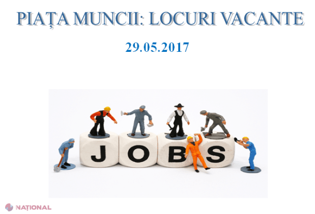 Locuri de muncă în STRĂINĂTATE: Se caută aproape 200 de cetățeni ai R. Moldova 