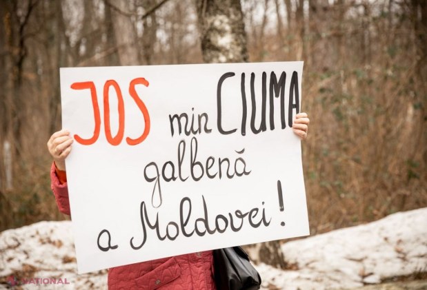 FOTO // Flash-mob la vila PREZIDENȚIALĂ de la Condrița. Partidul „ȘOR”: „Am venit să-i dăm Maiei Sandu macaroanele pe care ni le pune în fiecare zi pe urechi”