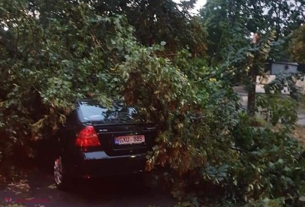 GALERIE FOTO // PLOAIE în Chișinău: Copaci scoşi din rădăcini și căzuți inclusiv pe mașini, străzi spălate de ape, acoperișuri luate de vânt sau cabluri doborâte la pământ