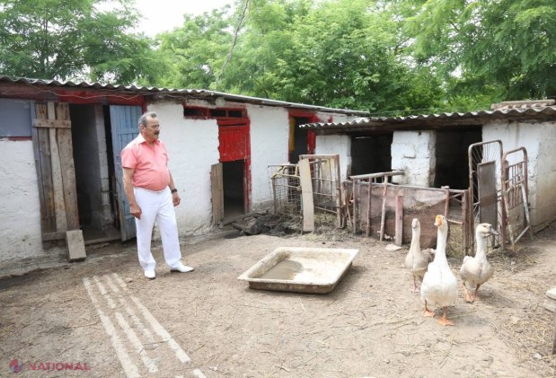 Atena s-a mutat la Roșu