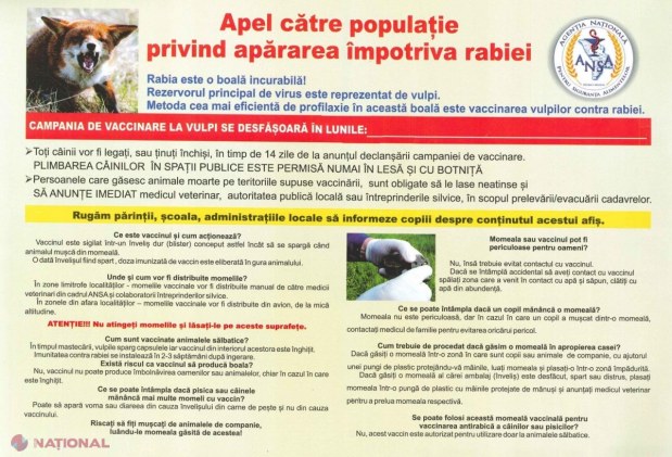România ajută R. Moldova să-și vaccineze vulpile contra RABIEI: Momeli vaccinale, distribuite cu avionul. ATENȚIONAREA ANSA pentru populație