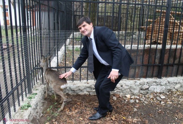 Foto // Comoara unui boier, căutată la Țaul