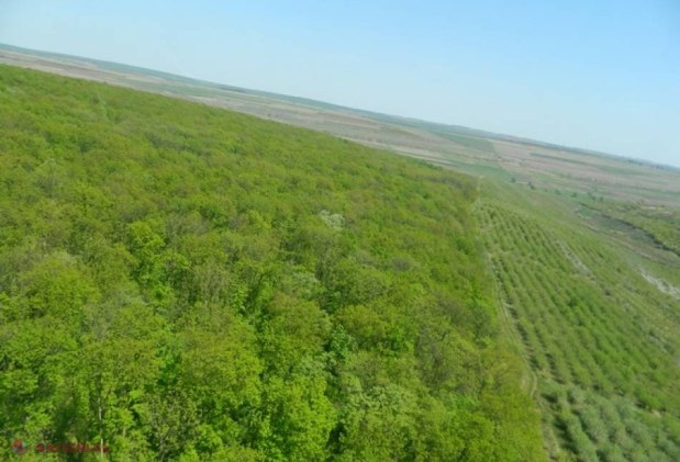 Atenție! Evitați ODIHNA în pădure până la 1 mai