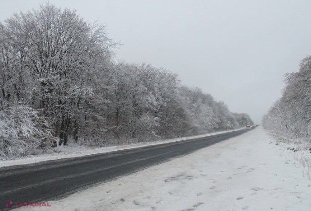 METEO // Cod GALBEN de lapoviță și ninsori PUTERNICE, viscole și troiene