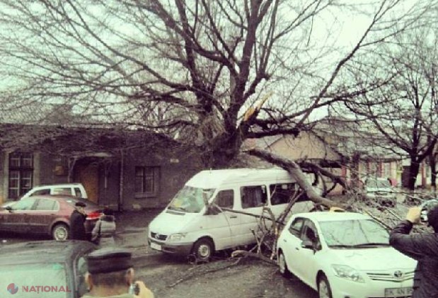 FOTO // CHICIURA doboară copacii în capitală. Zeci de mașini AVARIATE și trecători SPERIAȚI