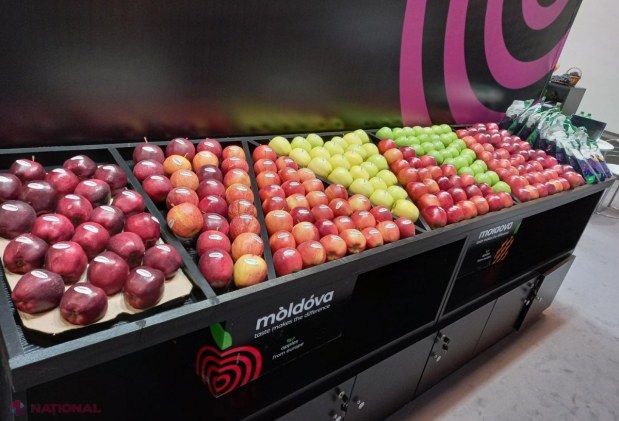 Producători de mere, struguri și prune din R. Moldova participă la o expoziție specializată de la Berlin: Parteneriate comerciale cu importatori din întreaga lume