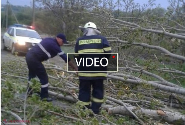 VIDEO // Ploile torențiale cu GRINDINĂ au provocat pagube în mai multe localități din R. Moldova