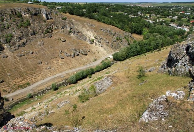 Ce se întâmplă astăzi în Pădurea Domnească?