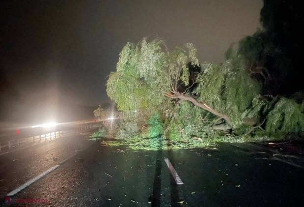 FOTO // Furtuna de seara trecută a provocat mai multe stricăciuni, iar zeci de localități au rămas fără curent electric. Peste 200 de SALVATORI sunt antrenați în lichidarea consecințelor intemperiei
