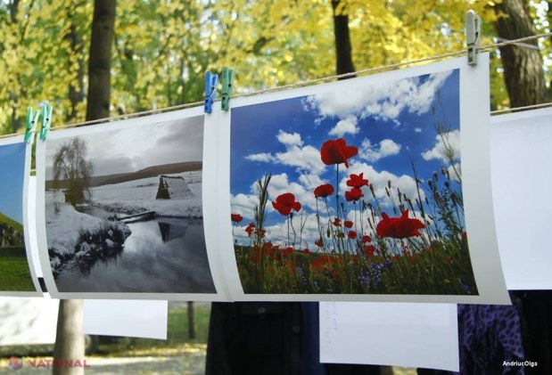INEDIT // Expoziție de fotografii pe sfori