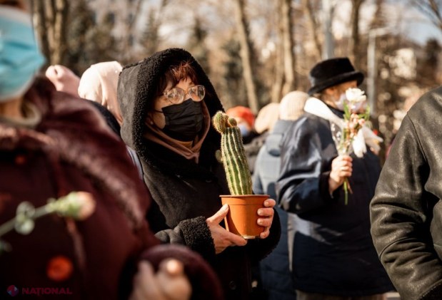 FOTO // „Bani de flori aveți, dar de pensii nu!”. Simpatizanții Partidului „ȘOR” i-a adus flori Maiei Sandu, inclusiv cactuși, pentru „ca să nu cheltuie banii poporului”
