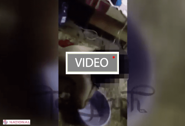 VIDEO +18 // Tinerii care au obligat o minoră din satul Cărbuna să se DEZBRACE, iar apoi au bătut-o cu BESTIALITATE, au fost REȚINUȚI