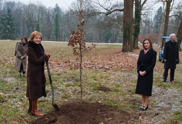 GALERIE FOTO // Preşedinta Maia Sandu, oaspetele Casei Regale din România: A plantat un stejar şi a semnat în Cartea de Aur