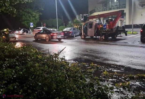 GALERIE FOTO // Furtuna de noaptea trecută a făcut ravagii în Chișinău - mai mulți copaci au fost rupți sau SMULȘI din rădăcină, mașini avariate, garduri doborâte și fire electrice căzute la pământ