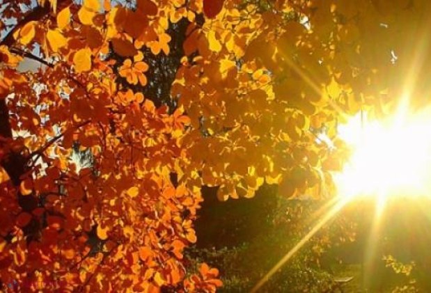 METEO // Zile calde, fără ploi: Timpul în primele zile din OCTOMBRIE