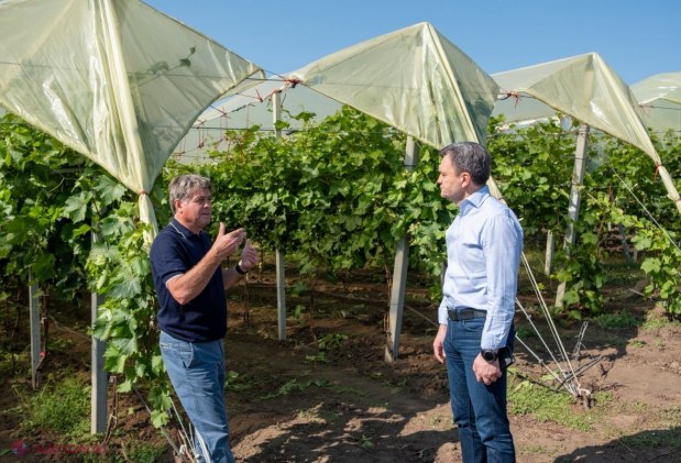 FOTO // Cum să construiești o afacere de succes în AGRICULTURĂ, fără a miza doar pe subvenții din partea statului. O familie din Cahul administrează 2 000 de hectare și practic în fiecare an au o recoltă de TREI ori mai mare decât alți agricultori
