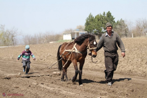 Agricultorii ar putea importa produse petroliere FĂRĂ LICENȚĂ