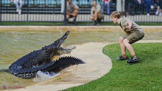 Familia regretatului Steve Irwin, la un pas de o nouă tragedie. Fiul lui, în pericol de a fi atacat de un crocodil