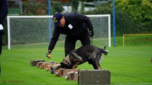FOTO // Câinii Serviciului Vamal, primii la un concurs de căutare a drogurilor prin intermediul trimiterilor poștale și în încăpere: Echipele canine din R. Moldova, pe locul doi în clasamentul general