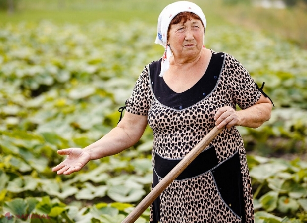 FOTO // Locuitorii unui sat din R. Moldova se duc la PRĂȘIT cu pașaportul în buzunar: Calvarul ar putea lua sfârșit, cu ajutorul UE