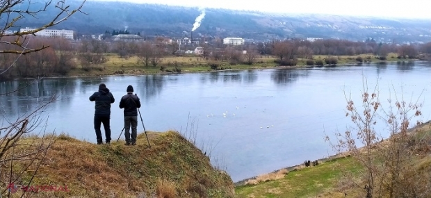 RECORDUL METEO al lunii ianuarie: „Pentru prima dată în toată perioada de observații”