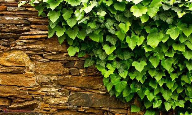 Învață să te BUCURI de oamenii din jur, cât încă îi mai ai… o poveste care te va pune pe gânduri