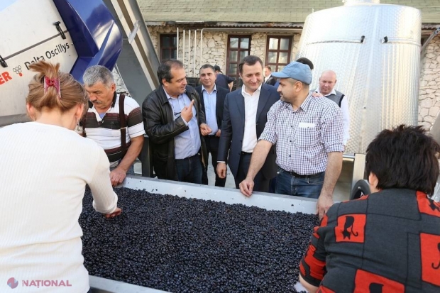 Un vinificator s-a REORIENTAT: „Numărul ţărilor în care EXPORTĂM vinul s-a mărit!”