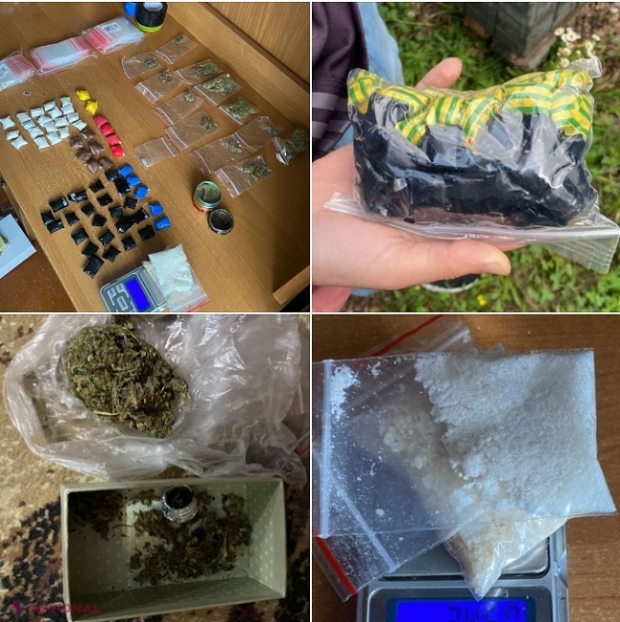 Parcul Dendrariu și Grădina Botanică din Chișinău, locații folosite pentru plasarea drogurilor: Un băiat de 17 ani și o fată de 21, prinși în flagrant delict