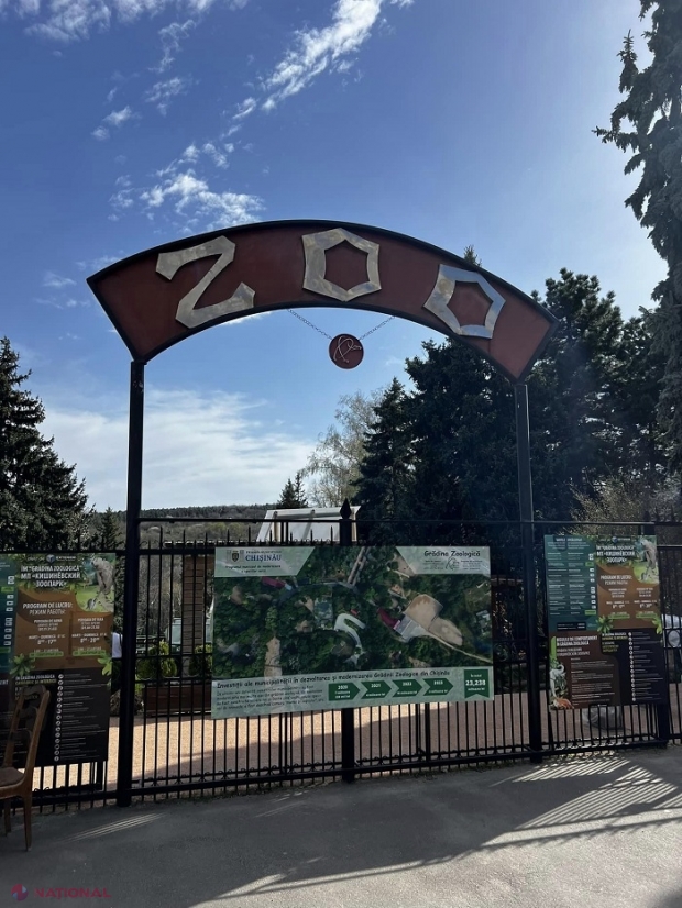 Grădina Zoologică din Chișinău va fi deschisă în zilele de sărbătoare 1, 6, 9 și 13 mai: Cât vor costa biletele pentru vizitatori