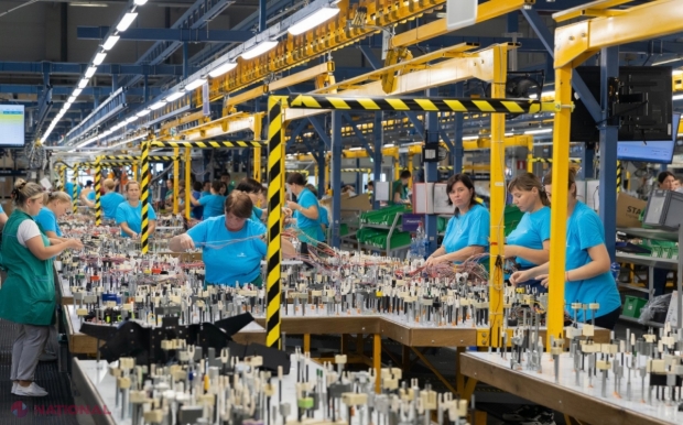 Peste 8 000 de persoane, plasate în câmpul muncii de către ANOFM, de la începutul anului