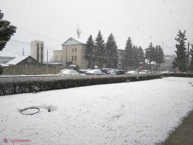 FOTO // Ninsoare neanunțată la Edineț, în timp ce la Chișinău sunt peste 10 grade Celsius: „A venit în sfârșit iarna la Edineț” 