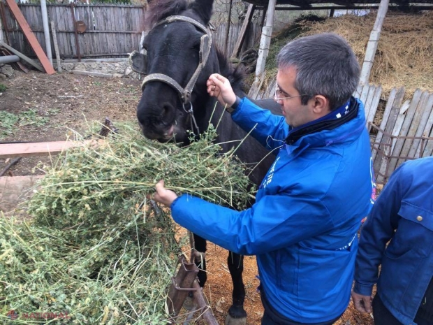 Un deputat PD numără banii cheltuiți pentru a aduna cele 405 mii de semnături în favoarea referendumului și solicită ANCHETĂ
