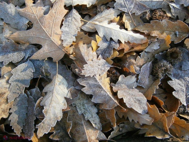 METEO // Cod galben de ÎNGHEȚ