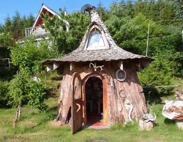 FOTO // Adorabila colibă, SCULPTATĂ dintr-un ciot de pom conifer