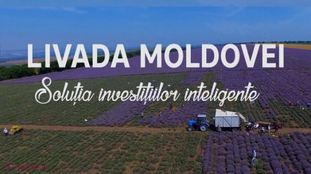 Proiectul „Livada Moldovei”, extins de la sectorul horticol la întreg sectorul agroalimentar: Undă verde pentru negocierile cu BEI