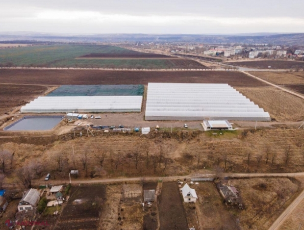 FOTO // Un fermier din Antonești va IRIGA peste 30 de hectare de legume cu apă de ploaie: Bazin de acumulare, construit cu sprijinul Agenției Austriece pentru Dezvoltare