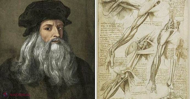 Incredibilul de EFICIENT program de somn al lui Leonardo da Vinci! Îți asigură o EFICIENȚĂ maximă de lucru!