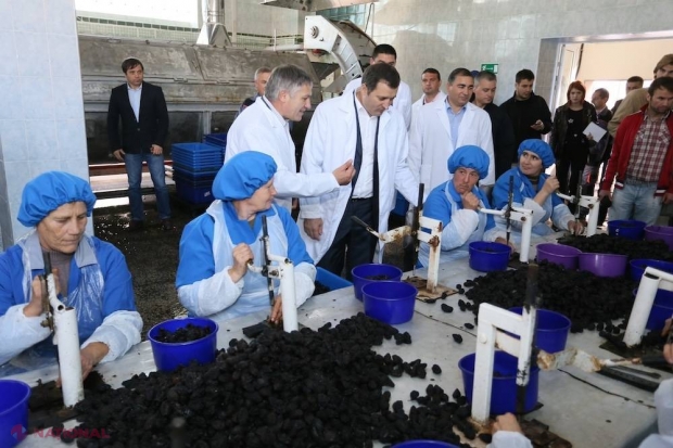 Agricultorul care SFIDEAZĂ embargoul lui Putin