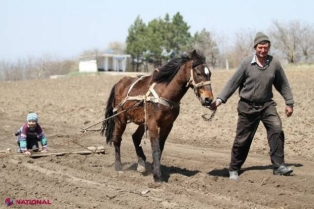 Terenurile agricole vor putea fi cumpărate DOAR de cetățenii Republicii Moldova, potrivit noului Cod Funciar