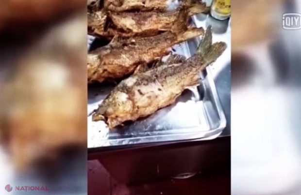 VIDEO // Imagini incredibile! Un pește a început să miște după ce a fost prăjit