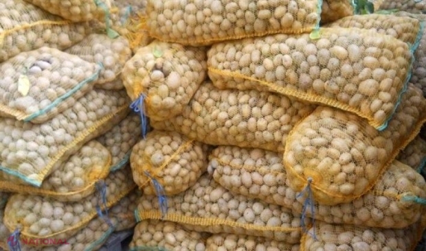 Reguli NOI la importul de cartofi în R. Moldova: Ce trebuie să facă agenții economici