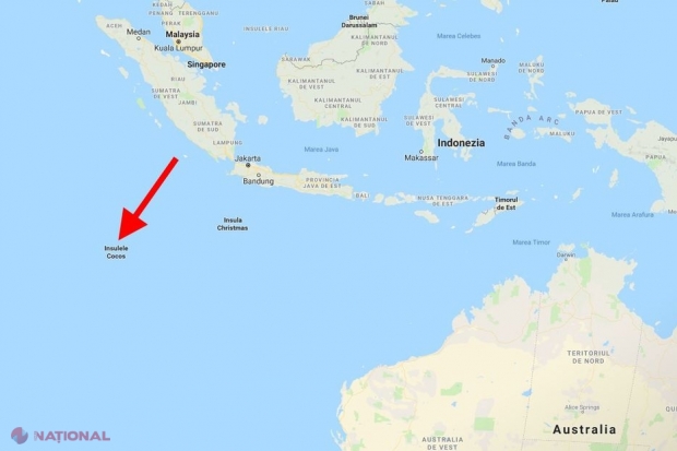 Când au păşit pe această insulă din mijlocul oceanului, aflată la 2.750 de km de cea mai apropiată localitate, cercetătorii au rămas PERPLECŞI. Este trist ce îi „aştepta”